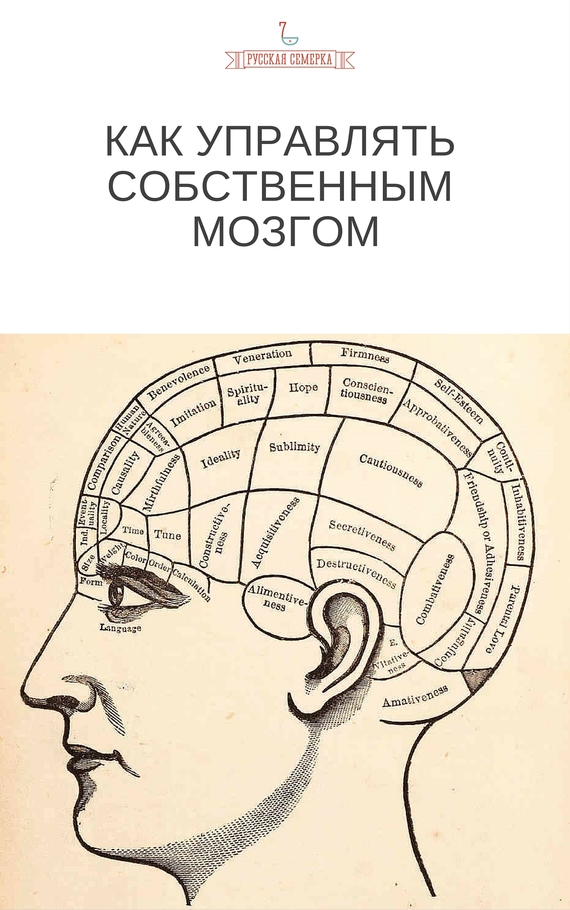 Как управлять собственным мозгом (fb2)