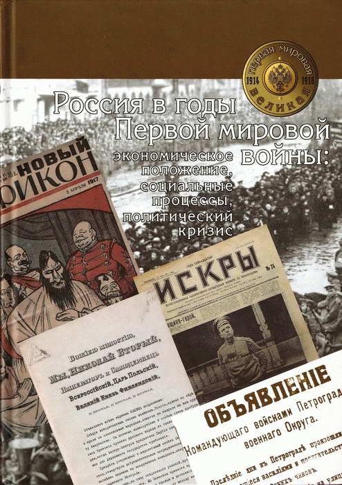 Россия в годы Первой мировой войны: экономическое положение, социальные процессы, политический кризис (fb2)