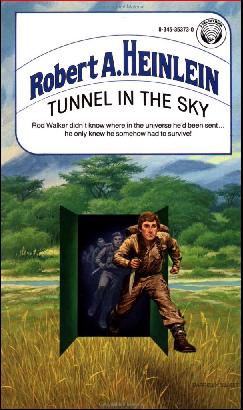 Тоннель в небо (fb2)
