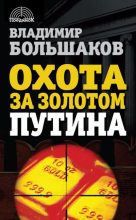 Книга - Владимир Викторович Большаков - Охота за золотом Путина (fb2) читать без регистрации