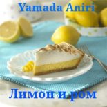 Книга - Aniri  Yamada - Лимон и ром (fb2) читать без регистрации