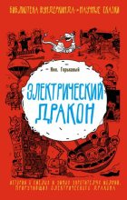 Книга - Ник  Горькавый - Электрический дракон (fb2) читать без регистрации