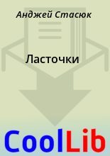 Книга - Анджей  Стасюк - Ласточки (fb2) читать без регистрации