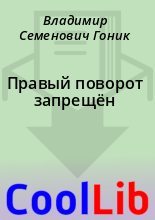 Книга - Владимир Семенович Гоник - Правый поворот запрещён (fb2) читать без регистрации