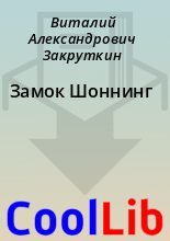 Книга - Виталий Александрович Закруткин - Замок Шоннинг (fb2) читать без регистрации