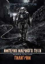 Книга - Денис Евгеньевич Бурмистров - Пилигрим (fb2) читать без регистрации
