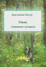 Книга - Константин  Пастух - Улька (fb2) читать без регистрации