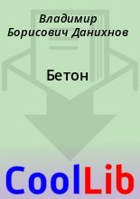 Книга - Владимир Борисович Данихнов - Бетон (fb2) читать без регистрации