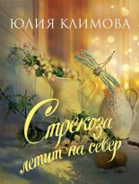 Книга - Юлия Владимировна Климова - Стрекоза летит на север (fb2) читать без регистрации