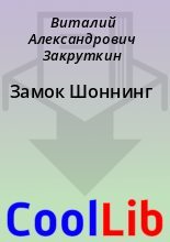 Книга - Виталий Александрович Закруткин - Замок Шоннинг (fb2) читать без регистрации
