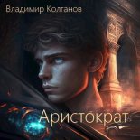 Книга -    (VladimirK) - Аристократ (СИ) (fb2) читать без регистрации