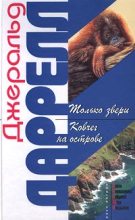 Книга - Джеральд  Даррелл - Ковчег на острове (fb2) читать без регистрации