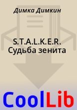 Книга - Димка  Димкин - S.T.A.L.K.E.R. Судьба зенита (fb2) читать без регистрации