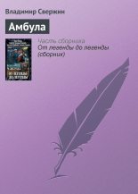 Книга - Владимир Игоревич Свержин - Амбула (fb2) читать без регистрации