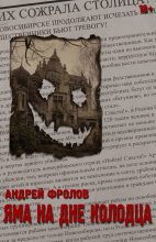 Книга - Андрей Евгеньевич Фролов - Яма на дне колодца (fb2) читать без регистрации