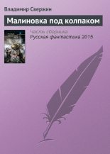 Книга - Владимир Игоревич Свержин - Малиновка под колпаком (fb2) читать без регистрации