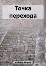 Книга - Андрей  Собакин - Точка перехода (fb2) читать без регистрации