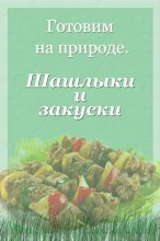 Книга - Илья  Мельников - Шашлыки и закуски (fb2) читать без регистрации