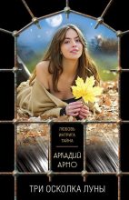 Книга - Аркадий  Арно - Три осколка луны (fb2) читать без регистрации