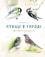 Книга - Анна  Васильева - Птицы в городе. Где найти и как узнать (pdf) читать без регистрации