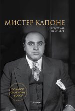 Книга - Роберт Дж Шёнберг - Мистер Капоне (fb2) читать без регистрации