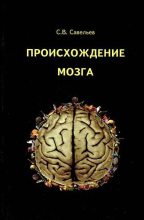 Книга - Сергей Вячеславович Савельев - Происхождение мозга (fb2) читать без регистрации