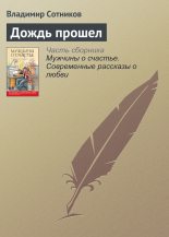 Книга - Владимир Михайлович Сотников - Дождь прошел (fb2) читать без регистрации