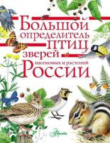 Книга -   Коллектив авторов - Большой определитель птиц, зверей, насекомых и растений России (pdf) читать без регистрации
