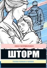 Книга - Иван Александрович Мордвинкин - Шторм (fb2) читать без регистрации