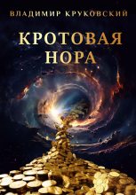 Книга - Владимир  Круковский - Кротовая нора (fb2) читать без регистрации