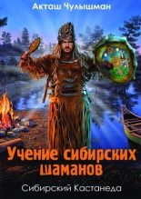 Книга - Акташ  Чулышман - Учение сибирских шаманов (pdf) читать без регистрации