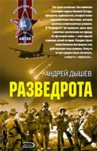 Книга - Андрей Михайлович Дышев - Разведрота (fb2) читать без регистрации