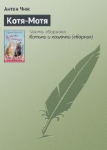 Книга - Антон  Чиж - Котя-Мотя (fb2) читать без регистрации