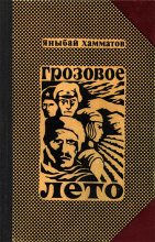 Книга - Яныбай Хамматович Хамматов - Грозовое лето (fb2) читать без регистрации