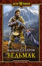 Книга - Василий Иванович Сахаров - Ведьмак (fb2) читать без регистрации
