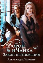 Книга - Александра  Черчень - Ворон и чайка (fb2) читать без регистрации