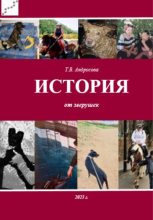 Книга - Татьяна  Андросова - История от зверушек (fb2) читать без регистрации