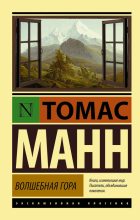 Книга - Томас  Манн - Волшебная гора (fb2) читать без регистрации