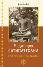 Книга - Бхикку  Аналайо - Медитация сатипаттхана: практическое руководство (fb2) читать без регистрации