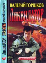 Книга - Валерий Сергеевич Горшков - Ликвидатор (fb2) читать без регистрации