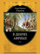 Книга - Генри Мортон Стенли - В дебрях Африки (fb2) читать без регистрации