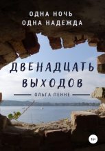 Книга - Ольга  Пенне - Двенадцать выходов (fb2) читать без регистрации