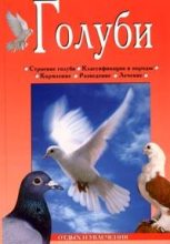 Книга - Линиза Жувановна Жалпанова - Голуби (fb2) читать без регистрации