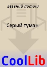 Книга - Евгений  Лотош - Серый туман (fb2) читать без регистрации