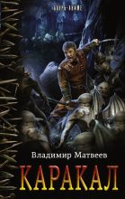 Книга - Владимир  Матвеев - Каракал (fb2) читать без регистрации