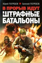 Книга - Юрий Сергеевич Погребов - В прорыв идут штрафные батальоны (fb2) читать без регистрации
