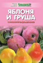 Книга - А. Б. Панкратова - Яблоня и груша. Технология выращивания (fb2) читать без регистрации