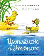 Книга - Владимир Григорьевич Сутеев - Цыплёнок и утёнок (djvu) читать без регистрации