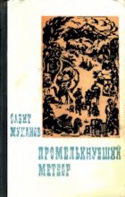 Книга - Сабит Муканович Муканов - Промелькнувший метеор. Книга 1 (pdf) читать без регистрации