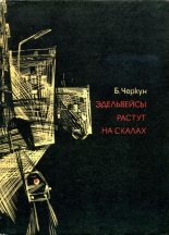 Книга - Борис Иванович Черкун - Эдельвейсы растут на скалах (fb2) читать без регистрации